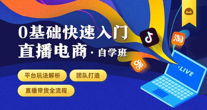 0基础快速入门直播电商课程:直播平台玩法解析-团队打造-带货全流程等环节-互联网资源大全网
