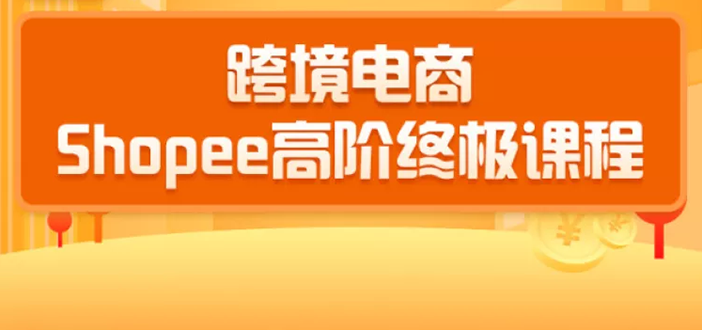 2020跨境电商蓝海新机会-SHOPEE大卖特训营:高阶终极课程(16节课)-互联网资源大全网