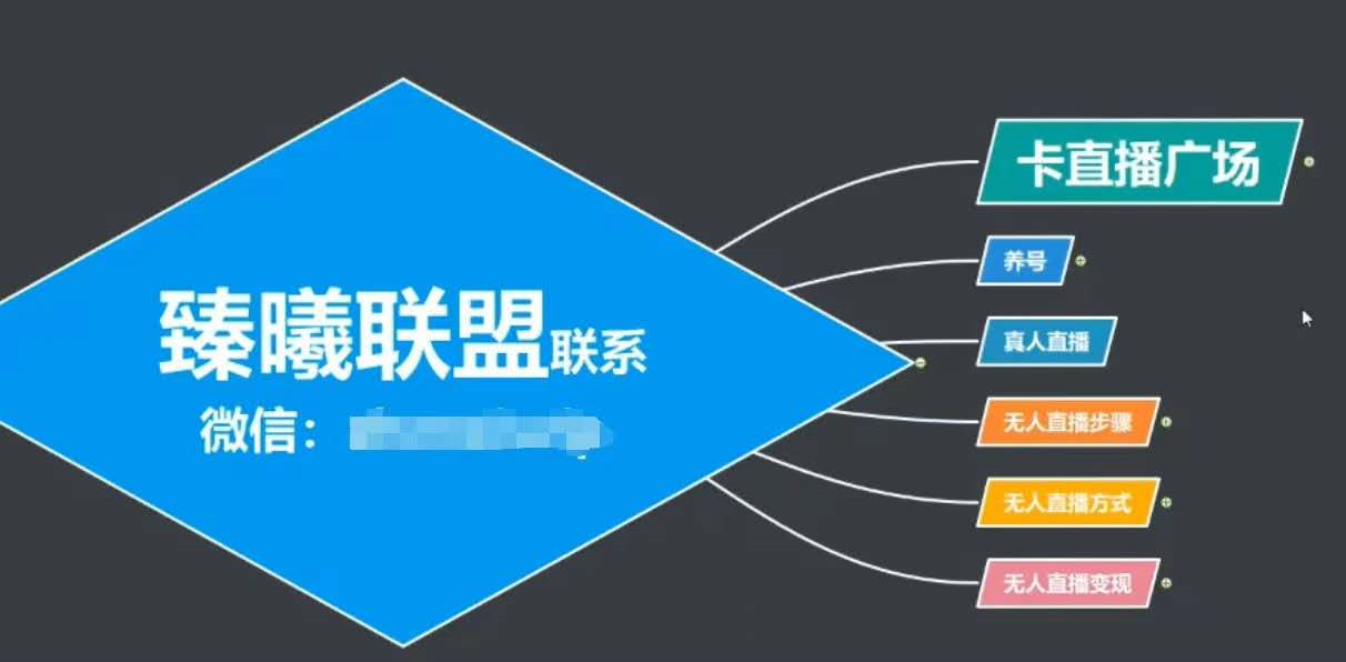 臻曦联盟，最新无人直播万人在线技术理原及详细操作步骤解析（视频教程）-互联网资源大全网