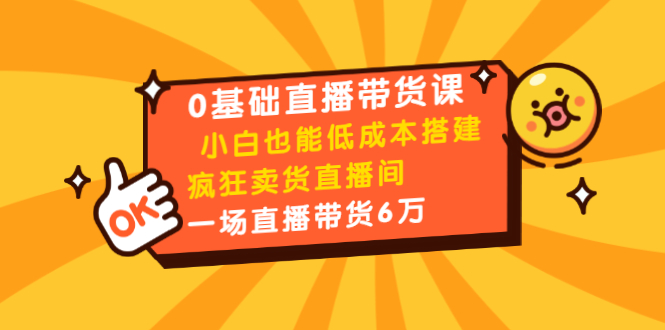 0基础直播带货课:小白也能低成本搭建疯狂卖货直播间:1场直播带货6万-互联网资源大全网