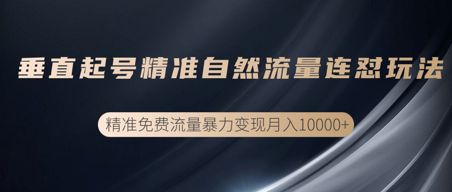 垂直起号精准自然流量连爆玩法,精准引流暴力变现月入10000+-第一资源库