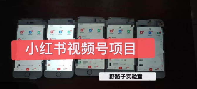 野路子小红书视频号1.0项目,直接上手操作就能赚钱的视频号项目-互联网资源大全网