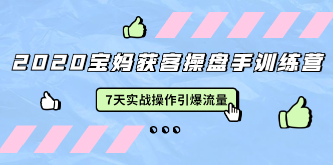 2020宝妈获客操盘手训练营:7天实战操作引爆 母婴、都市、购物宝妈流量-互联网资源大全网