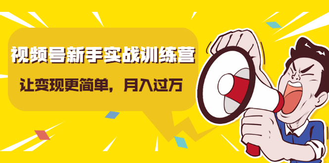 视频号新手实战训练营,让变现更简单,玩赚视频号,轻松月入过万-互联网资源大全网