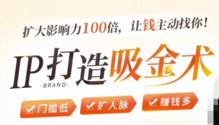 IP打造吸金术:0基础0资源,也能扩大影响力100倍,让钱主动找你!-互联网资源大全网