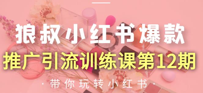 狼叔小红书爆款推广引流训练课第12期,手把手带你玩转小红书-互联网资源大全网