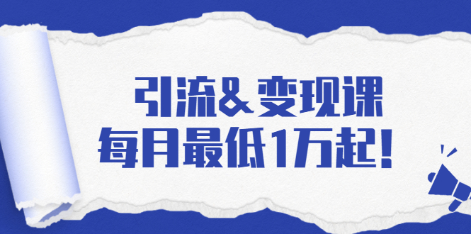 引流&变现课：分享一整套流量方法以及各个渠道收入，每月最低1万起！-互联网资源大全网