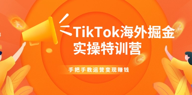 TikTok海外掘金实操特训营：手把手教运营变现赚钱-互联网资源大全网