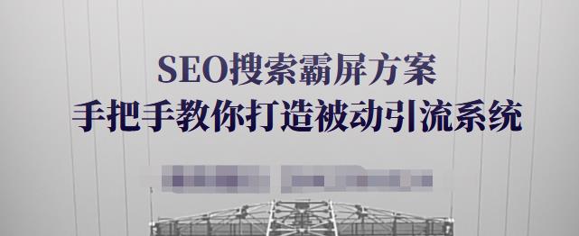 SEO搜索霸屏方案,手把手教你打造被动引流系统【视频课程】-互联网资源大全网
