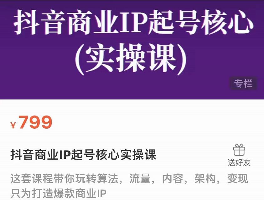 抖音商业IP起号核心实操课,带你玩转算法,流量,内容,架构,变现-互联网资源大全网