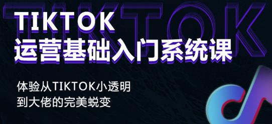 Tiktok实操进阶课程,体验从tiktok小透明到大佬的完美蜕变-互联网资源大全网