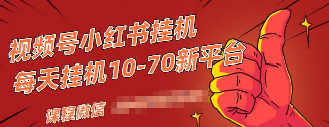 视频号小红书抖音挂机项目,小白无脑操作,按照要求来,单号每天几十米-互联网资源大全网