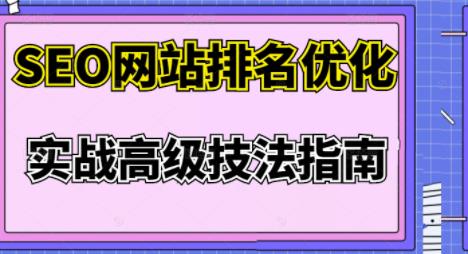 樊天华·SEO网站排名优化实战高级技法指南,让客户找到你-互联网资源大全网