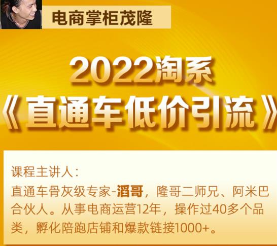 茂隆2022直通车低价引流玩法,教大家如何低投入高回报的直通车玩法-互联网资源大全网