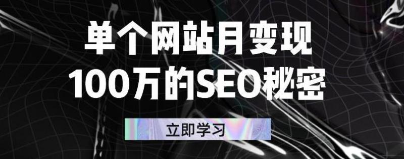 单个网站月变现100万的SEO秘密，百分百做出赚钱站点-互联网资源大全网