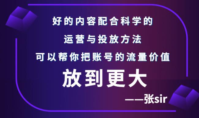 张sir账号流量增长课,告别海王流量,让你的流量更精准-互联网资源大全网