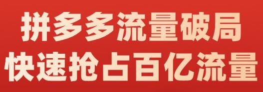 阿杰·拼多多流量破局:如何打黑标,爆款的思路,拼多多流量框架,快速抢占百亿流量-互联网资源大全网