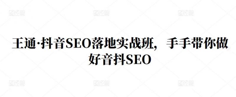 王通·抖音SEO落地实战班,手手带你做好音抖SEO-互联网资源大全网