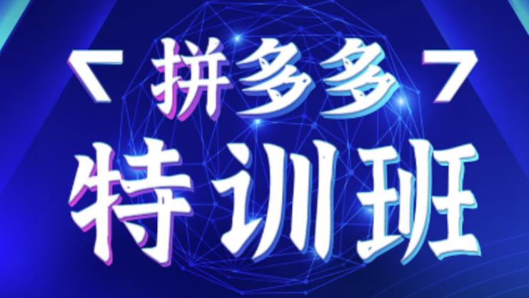 星雪教育·拼多多基础班+进阶班+突破班,用系统的学习模式快速改变现状价值3580元-互联网资源大全网