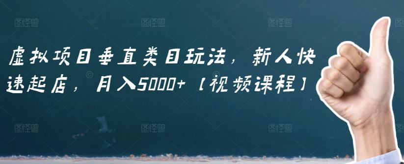 虚拟项目垂直类目玩法，新人快速起店，月入5000+【视频课程】-第一资源库