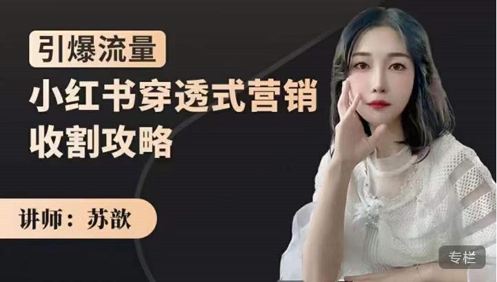 苏歆：小红书穿透式营销收割攻略，引爆流量，助你玩转小红书-互联网资源大全网