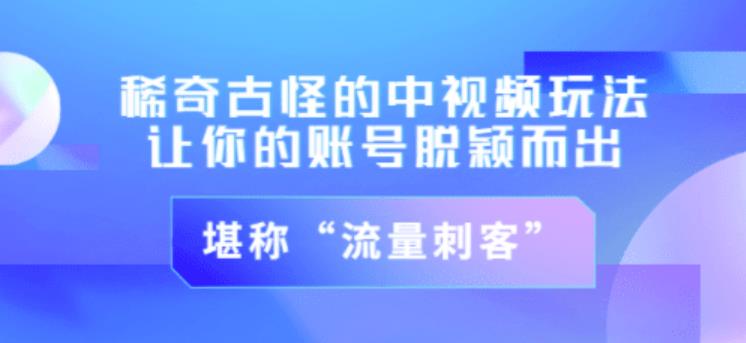 不讲李·稀奇古怪的冷门中视频冷门玩法，让你的账号脱颖而出，成为流量刺客！（图文+视频）-互联网资源大全网