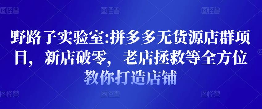 野路子实验室:拼多多无货源店群项目,新店破零,老店拯救等全方位教你打造店铺-互联网资源大全网