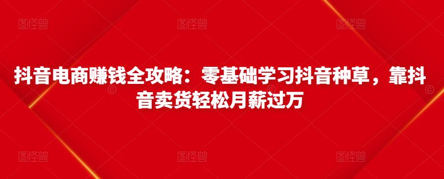 抖音电商赚钱全攻略:零基础学习抖音种草,靠抖音卖货轻松月薪过万-互联网资源大全网