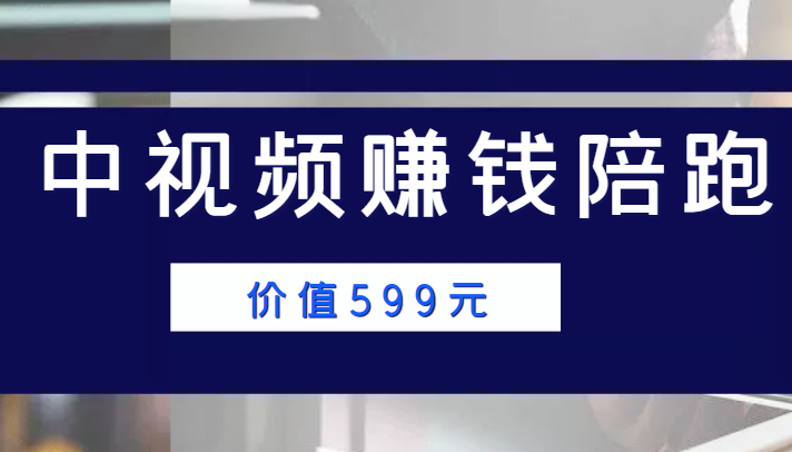 中视频赚钱陪跑,卖中视频账户赚钱收益陪跑项目(价值599元)-互联网资源大全网
