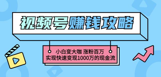 玩转微信视频号赚钱:小白变大咖涨粉百万实现快速变现1000万的现金流-互联网资源大全网