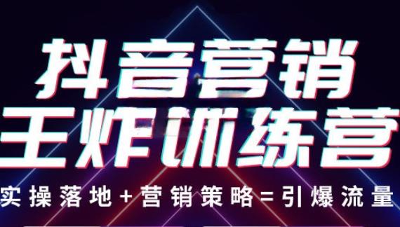 抖音营销王炸训练营,实操落地+营销策略=引爆流量(价值8960元)-互联网资源大全网