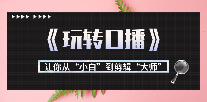 月营业额700万+大佬教您《玩转口播》让你从“小白”到剪辑“大师”-互联网资源大全网