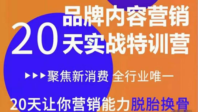 《内容营销实操特训营》20天让你营销能力脱胎换骨(价值3999)-互联网资源大全网