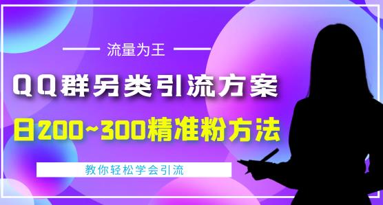 价值888的QQ群另类引流方案,半自动操作日200~300精准粉方法【视频教程】-互联网资源大全网