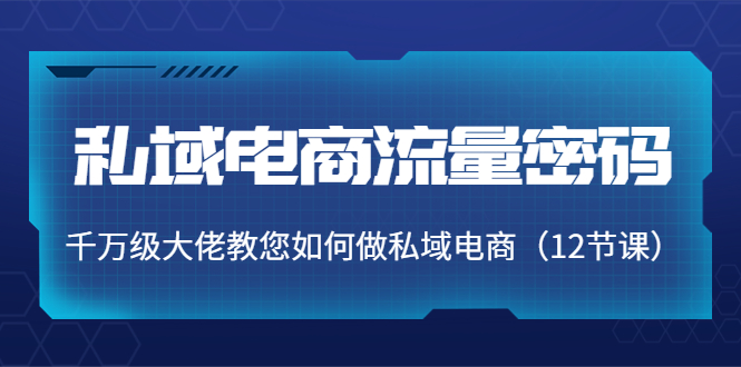 私域电商流量密码:千万级大佬教您如何做私域电商(12节课)-互联网资源大全网