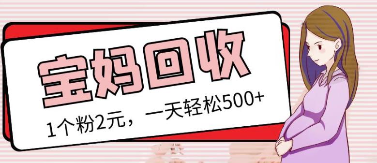 最新小红书母婴号宝妈粉回收项目,1个粉2元,一天轻松500+案例分享【粉丝包回收】-互联网资源大全网
