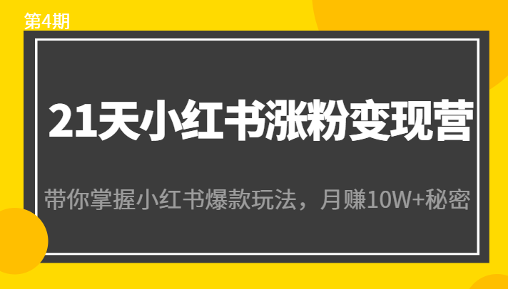 21天小红书涨粉变现营(第4期):带你掌握小红书爆款玩法,月赚10W+秘密-互联网资源大全网