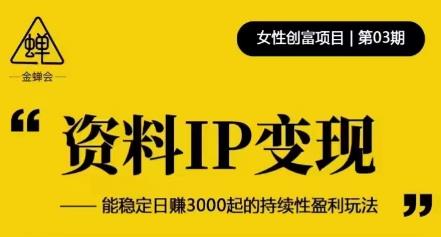 资料IP变现,能稳定日赚3000起的持续性盈利玩法-互联网资源大全网
