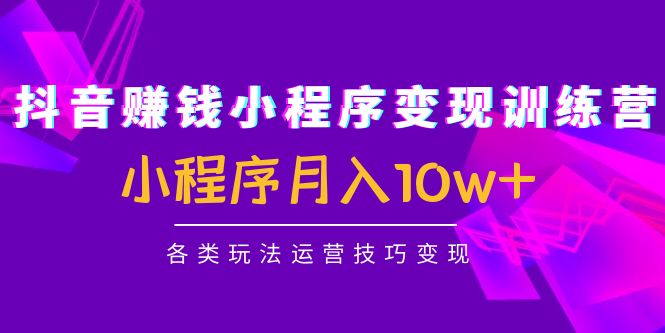抖音赚钱小程序变现训练营:小程序月入10w+各类玩法运营技巧变现-互联网资源大全网