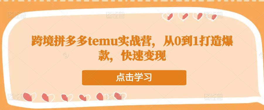 跨境拼多多temu实战营,从0到1打造爆款,快速变现-互联网资源大全网