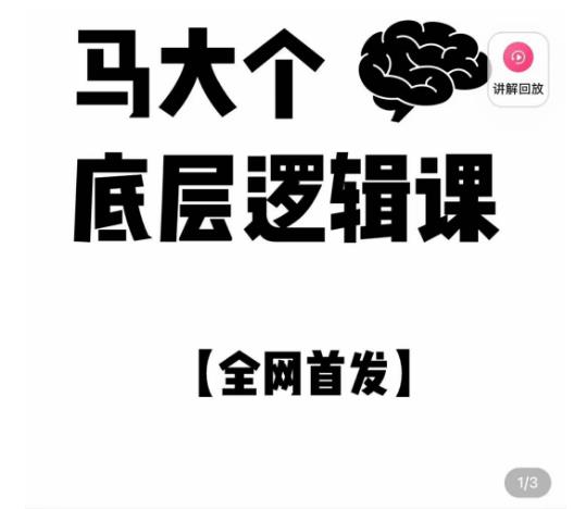 马大个·底层逻辑课,51节底层逻辑智慧课-价值1980元-互联网资源大全网