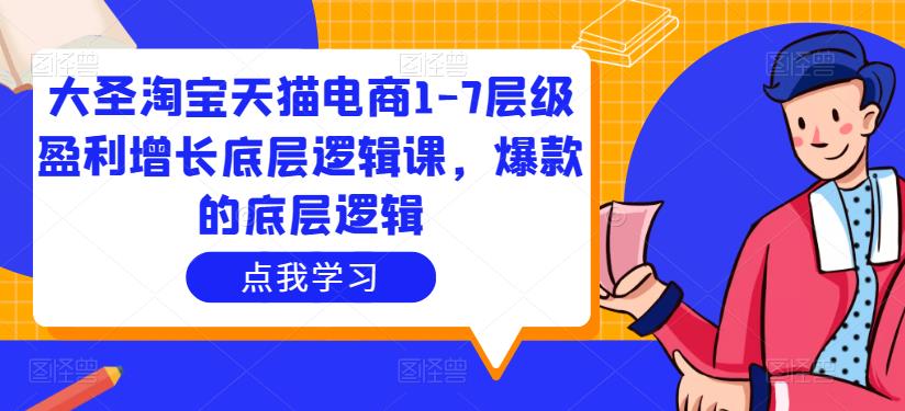 大圣淘宝天猫电商1-7层级盈利增长底层逻辑课,爆款的底层逻辑-互联网资源大全网