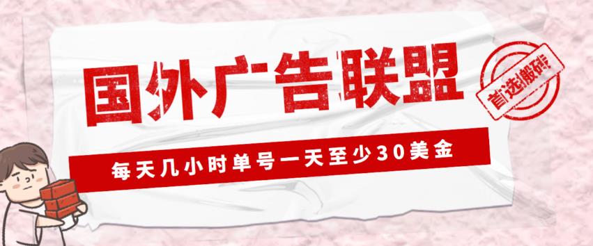 外面收费1980的最新国外LEAD广告联盟搬砖项目，单号一天至少30美金【详细玩法教程】-互联网资源大全网