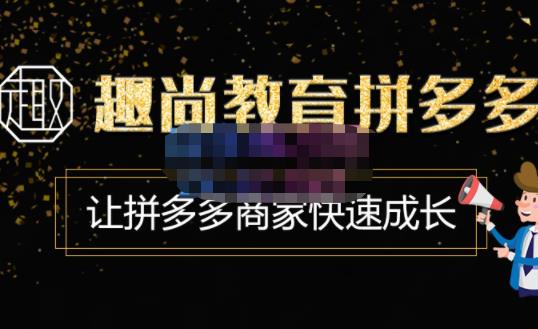 趣尚教育·拼多多运营实操VIP特训营,让拼多多商家快速成长-价值3180元-互联网资源大全网