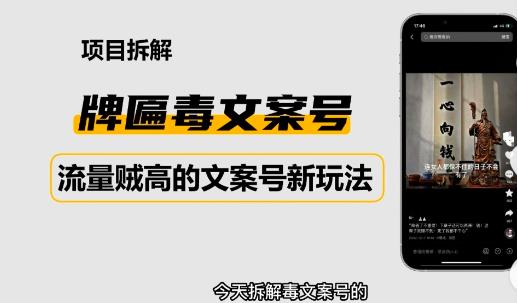 2023抖音快手毒文案新玩法，牌匾文案号，起号快易变现-互联网资源大全网