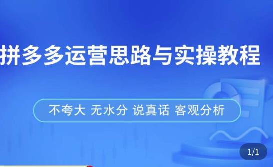 拼多多店铺运营思路与实操教程，快速学会拼多多开店和运营，少踩坑，多盈利-互联网资源大全网