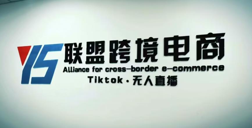 YS联盟·Tiktok无人直播,不出镜不剪辑不拍摄不发货无售后的跨境短视频躺赚玩法-互联网资源大全网