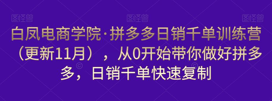白凤电商学院·拼多多日销千单训练营,从0开始带你做好拼多多,日销千单快速复制(更新知2023年3月)-互联网资源大全网