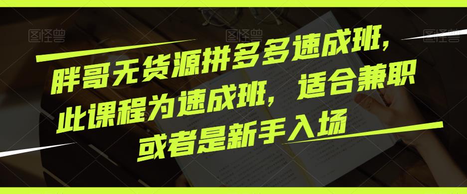 胖哥无货源拼多多速成班，此课程为速成班，适合兼职或者是新手入场-互联网资源大全网