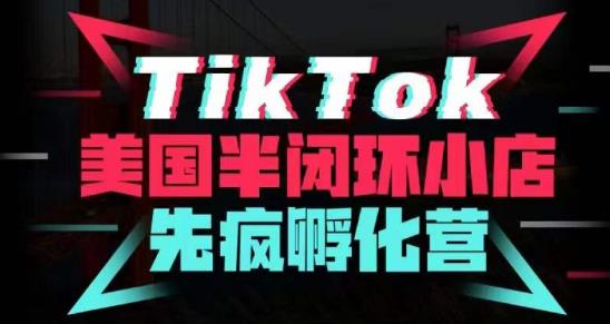 疯人院·TikTok美国半闭环小店孵化营，抢占TikTok美国蓝海市场，开店、运营、带货、投流全实操-互联网资源大全网